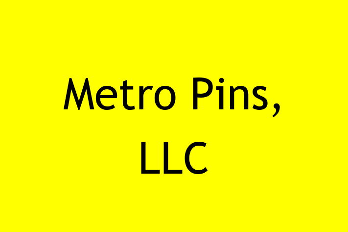 IT Company Metro Pins LLC