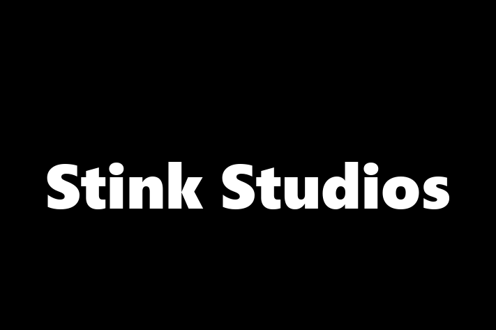 Software Engineering Company Stink Studios