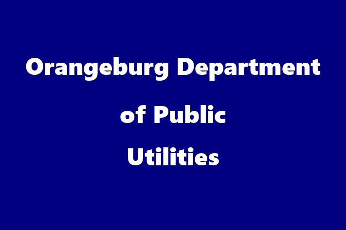 Technology Solutions Firm Orangeburg Department of Public Utilities