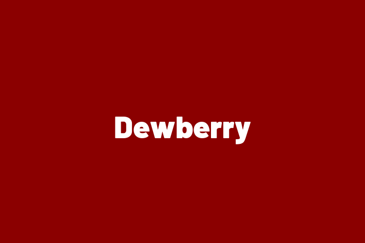 Software Firm Dewberry