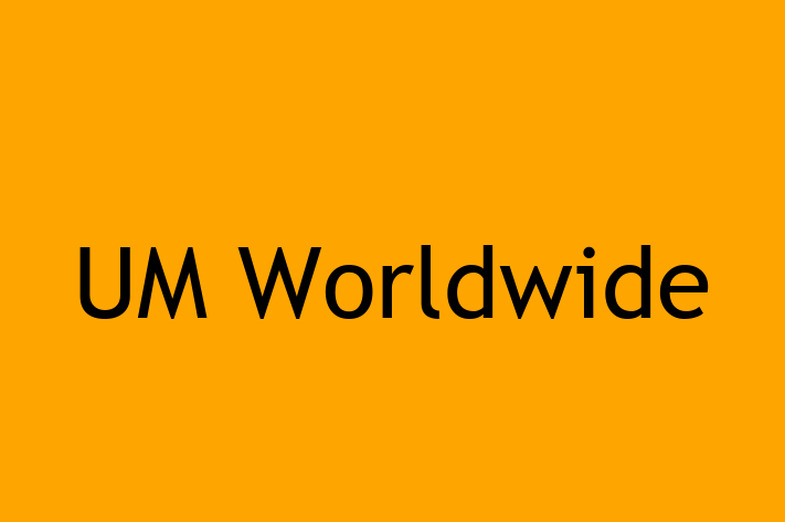 Software Development Company UM Worldwide