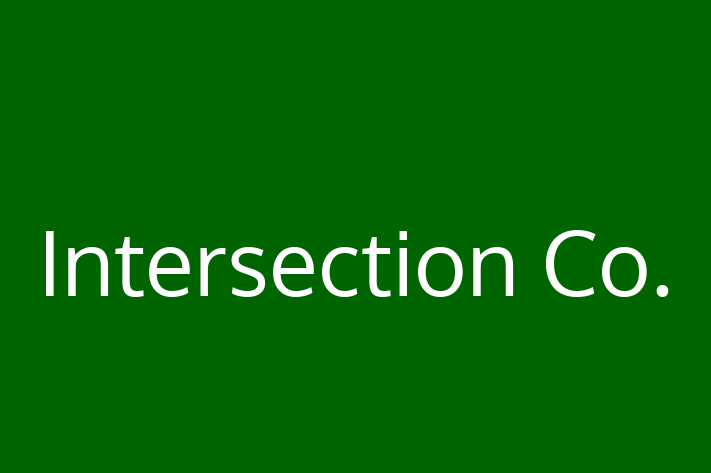 IT Company Intersection Co.