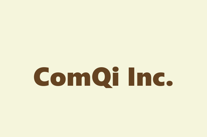 Software Consultancy ComQi Inc.