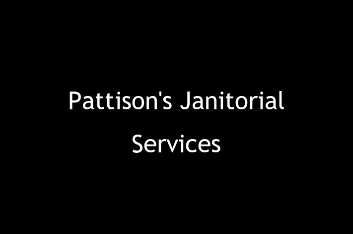 Home Sanitation Pattisons Janitorial Services