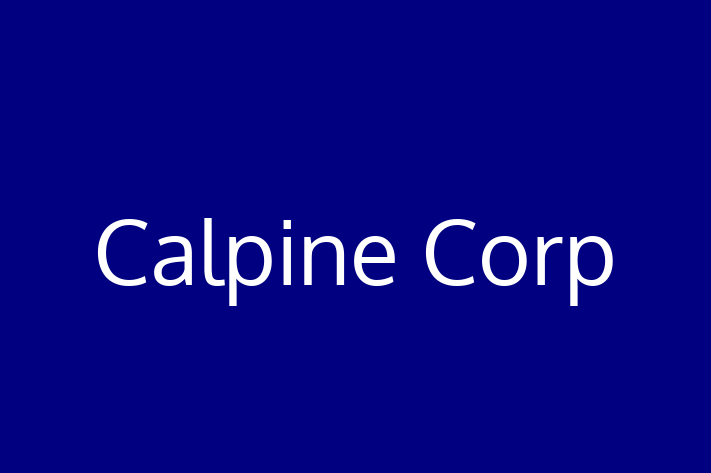 Electrical workers Calpine Corp