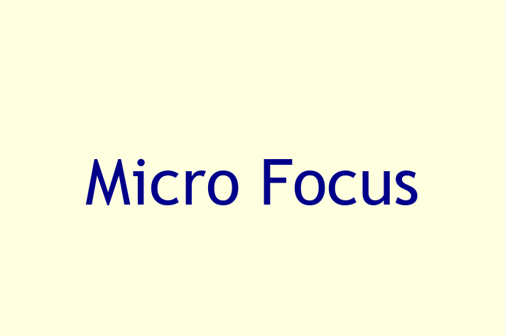 Application Development Company Micro Focus