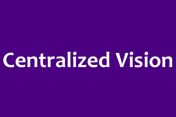 Software Firm Centralized Vision