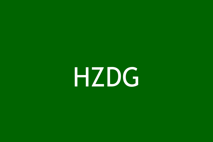 Technology Company HZDG