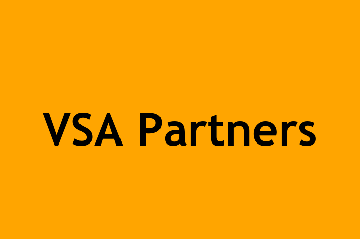 Software Engineering Company VSA Partners