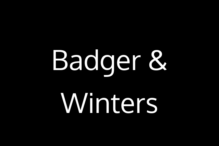 Technology Company Badger  Winters