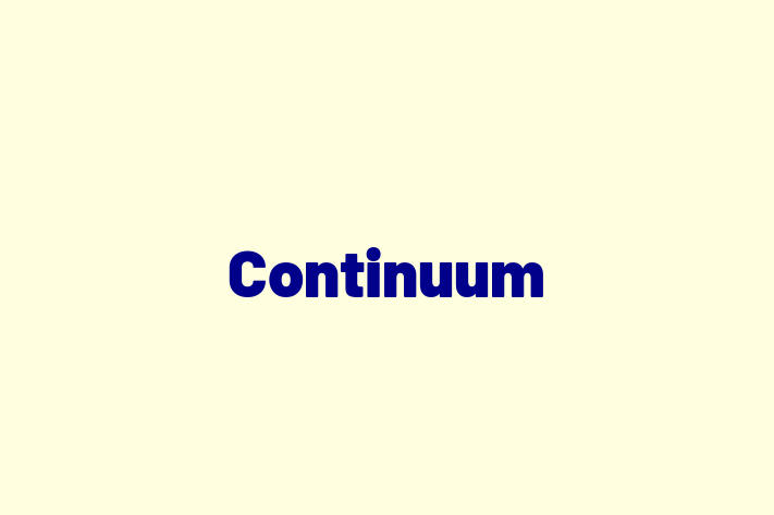 Software Services Company Continuum