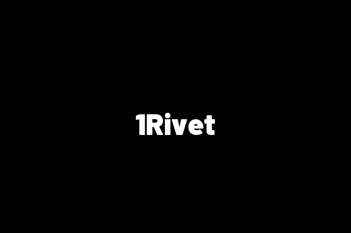 IT Company 1Rivet