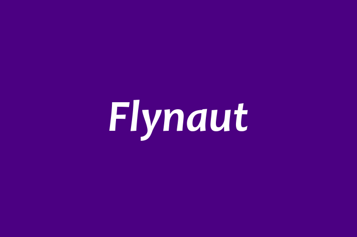 Tech Solutions Company Flynaut