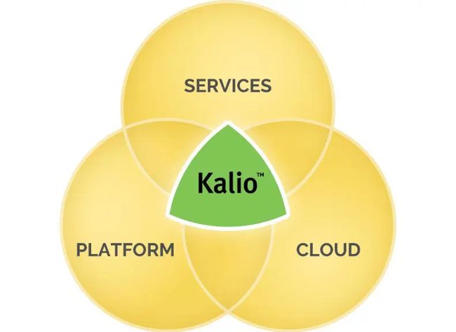 Digital Solutions Provider Kalio