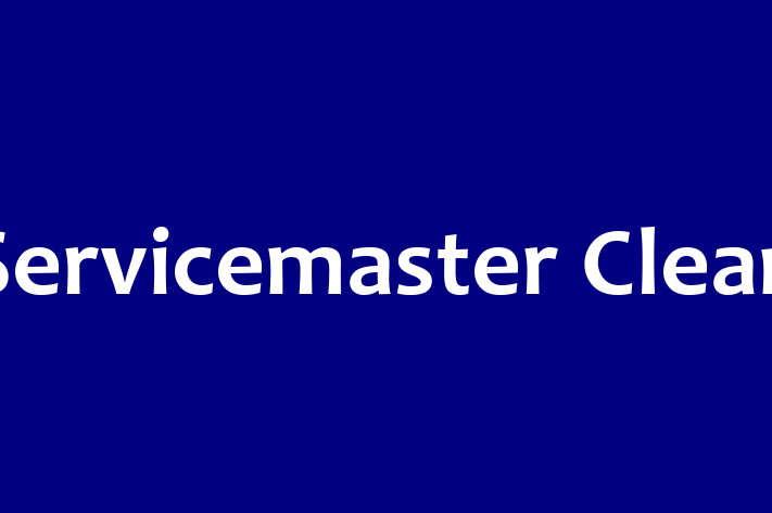 Domestic Cleaning Servicemaster Clean