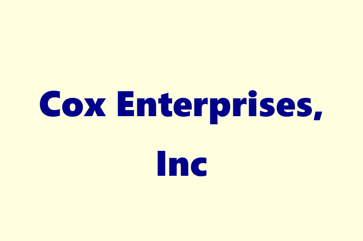 Tech Solutions Company Cox Enterprises Inc