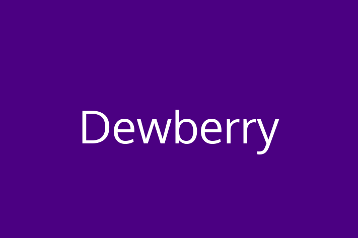 IT Company Dewberry