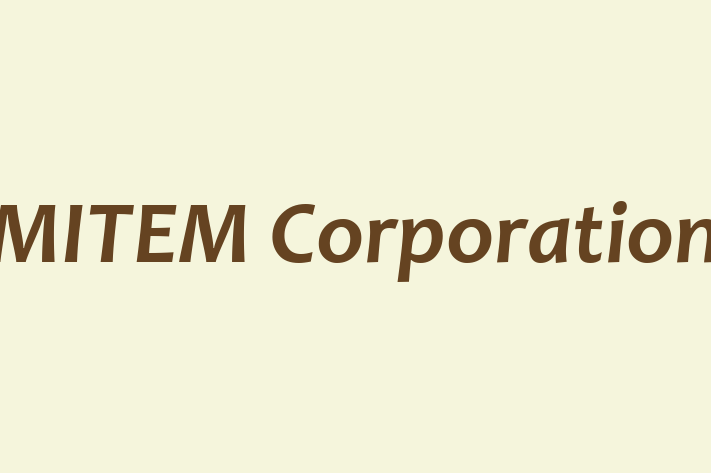 Technology Solutions Firm MITEM Corporation