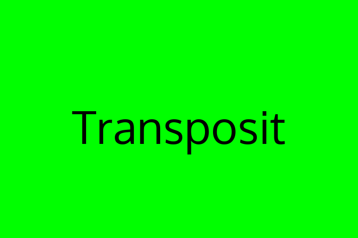 Application Development Company Transposit