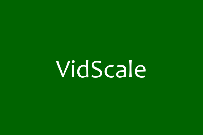 IT Company VidScale