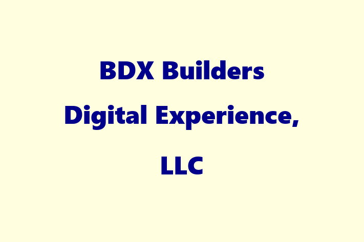 Technology Solutions Firm BDX   Builders Digital Experience LLC