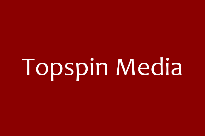 Software Services Company Topspin Media