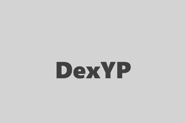 Tech Firm DexYP