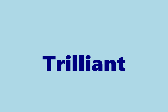 Digital Solutions Provider Trilliant