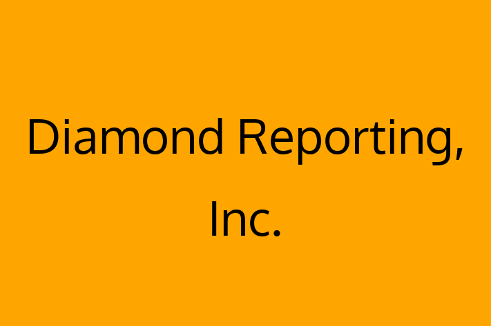 Application Development Company Diamond Reporting Inc.