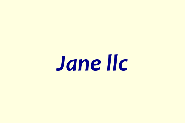 Software Development Company Jane llc