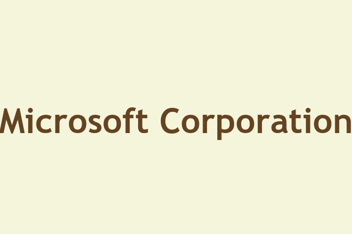 Software Development Company Microsoft Corporation