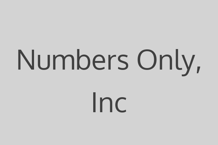 Software Services Company Numbers Only Inc