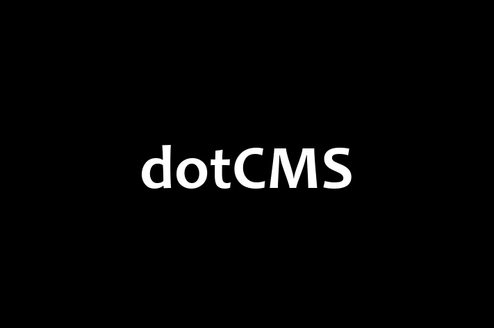 Technology Company dotCMS