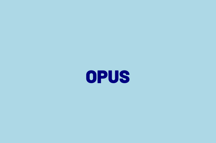 Software Development Firm OPUS