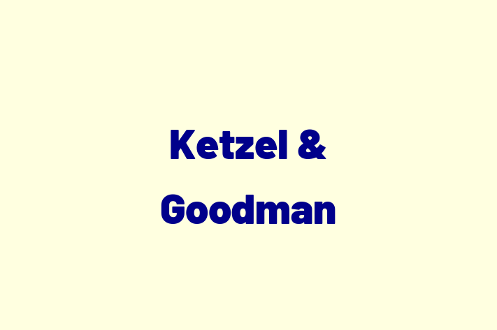 Architect planner Ketzel Goodman