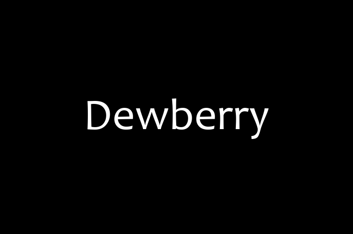 Software Engineering Company Dewberry