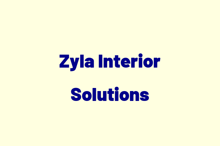 Residential Cleaning Zyla Interior Solutions