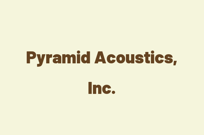 Staff Management Pyramid Acoustics Inc.