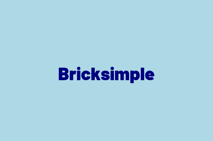 Software Development Company Bricksimple