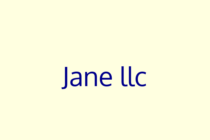 Technology Solutions Firm Jane llc