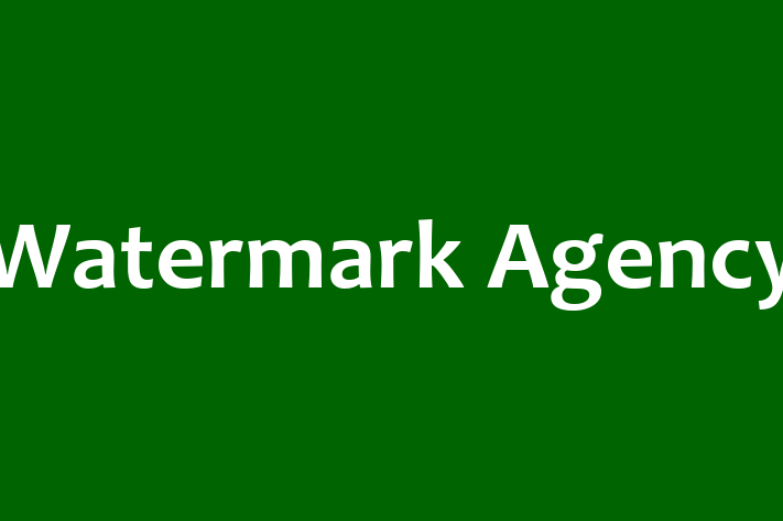 Tech Firm Watermark Agency