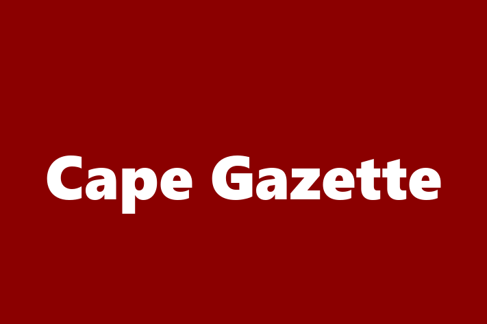 Tech Firm Cape Gazette