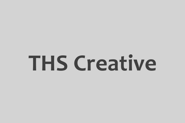 Tech Solutions Company THS Creative