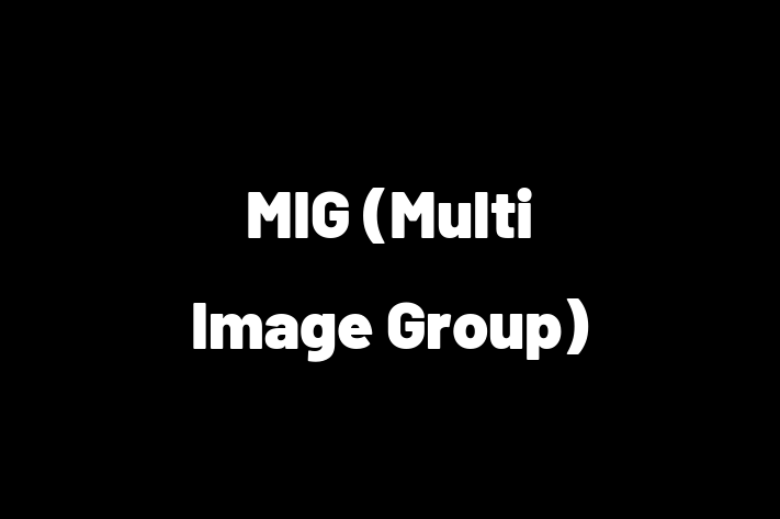 Tech Firm MIG Multi Image Group