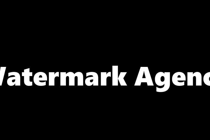 Software Services Company Watermark Agency