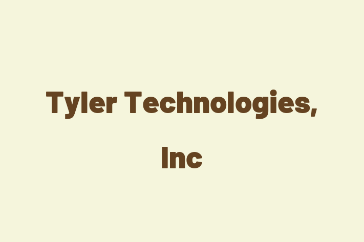 Software Consultancy Tyler Technologies Inc