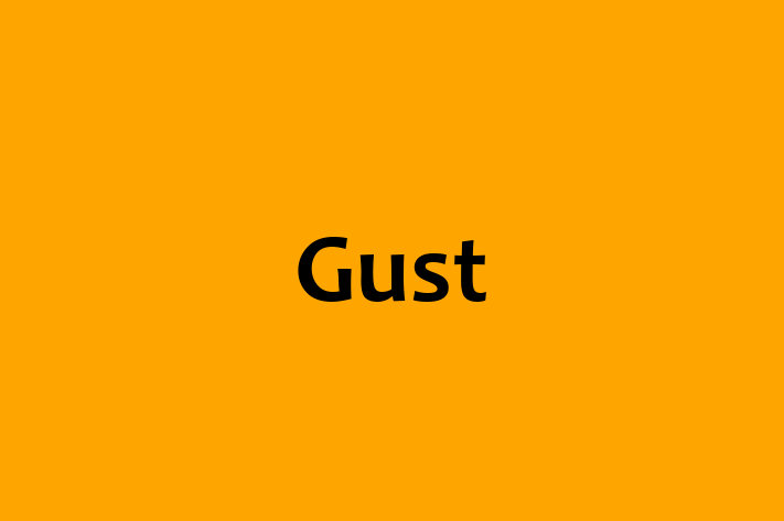 Technology Solutions Firm Gust