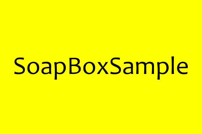 Software Consultancy SoapBoxSample