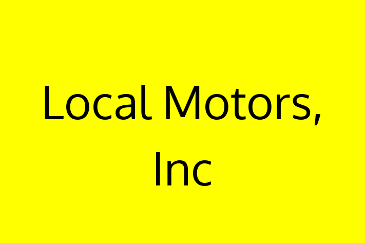 Tech Solutions Company Local Motors Inc