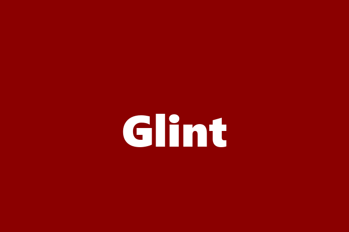 Software Consultancy Glint